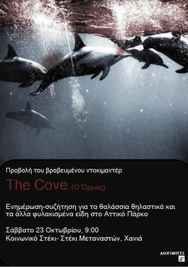 the cove